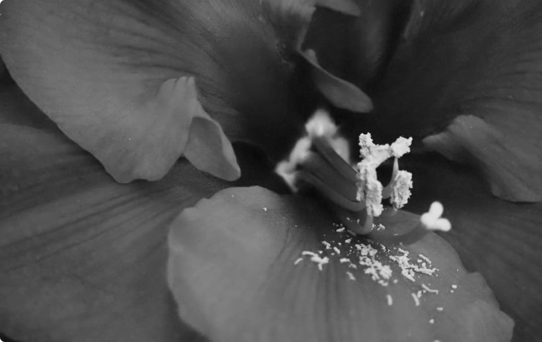 サムネイル画像が設定されていません