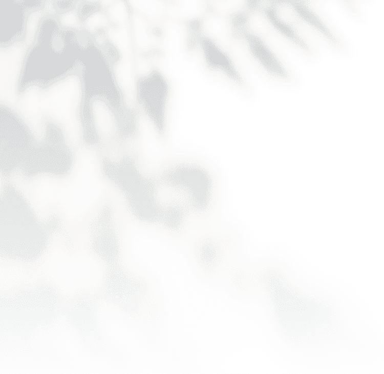 植物の影の様な背景