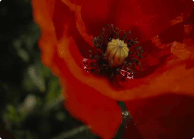 ブログバナー画像